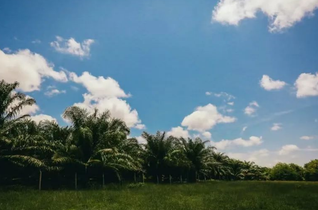 ASi铝业管理倡议对可再生铝行业生产转化可持续碳排放